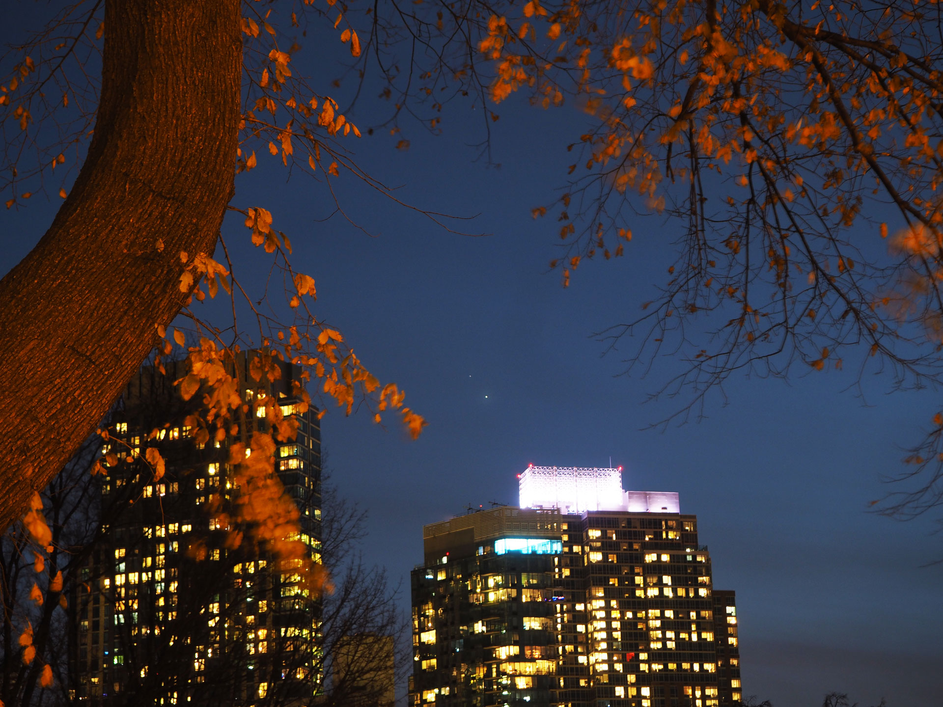 jupiter saturn conjunction 2020 nyc 